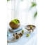 Aralia Solid Wood Decorative Bowl 2