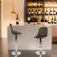 Drumheller Swivel Upholstered and Velvet Adjustable Height Bar Stool with Steel Frame