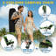 Camping Chair-122695784