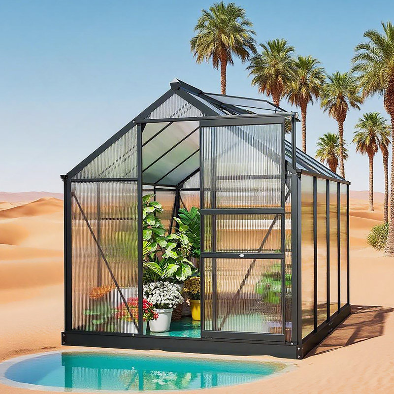 Serres en polycarbonate surélevées avec base et ancrage, serres robustes en aluminium, Gris