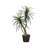 49'' Faux Tree in Wicker/Rattan Basket