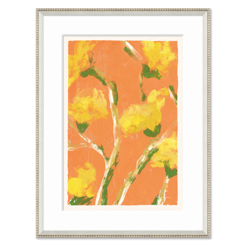 Tulip Poplar Set