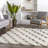 Kaliyanei Diamond Trellis Power Loom Performance Shag Cream Rug-1690771381