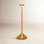 Moneta Novelty Lamp