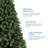 78' Lighted Pine Christmas Tree