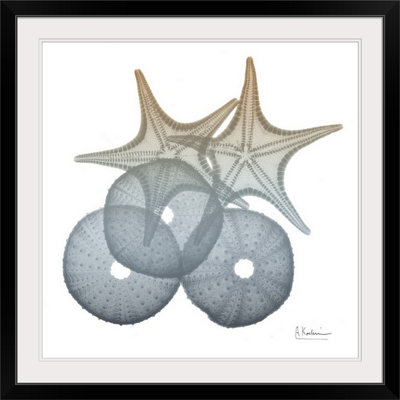 «Earthy Hues Sea Sea and Starfish» par Byer, reproduction de photo