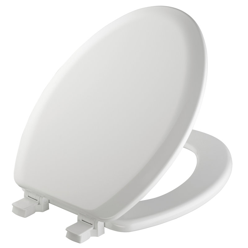 Elongated Toilet Seat and Lid