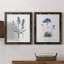 Lavande - ensemble de 2 reproductions d'impressions-484035735-484035729-467967545