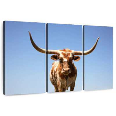 Brampt Longhorn Cattle Portrait