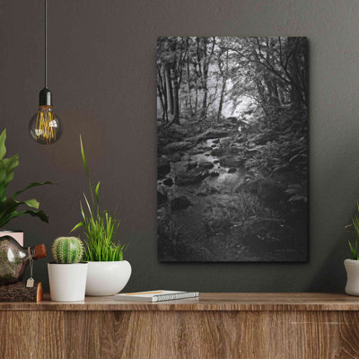 «Lush Creek In Forest BW» par Debra Van Swearingen
