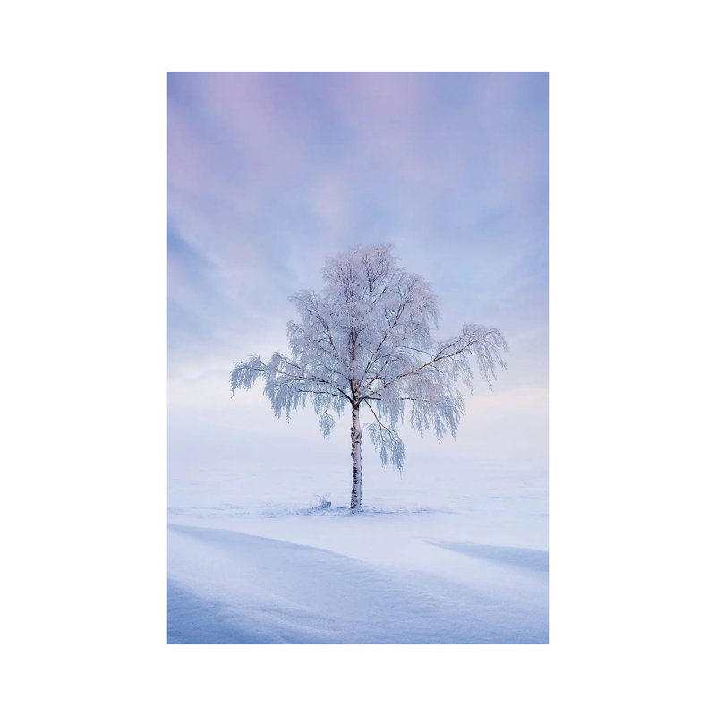 Solitude II by Lauri Lohi - Wrapped Canvas Print, 20.32 cm H x 30.48 cm W