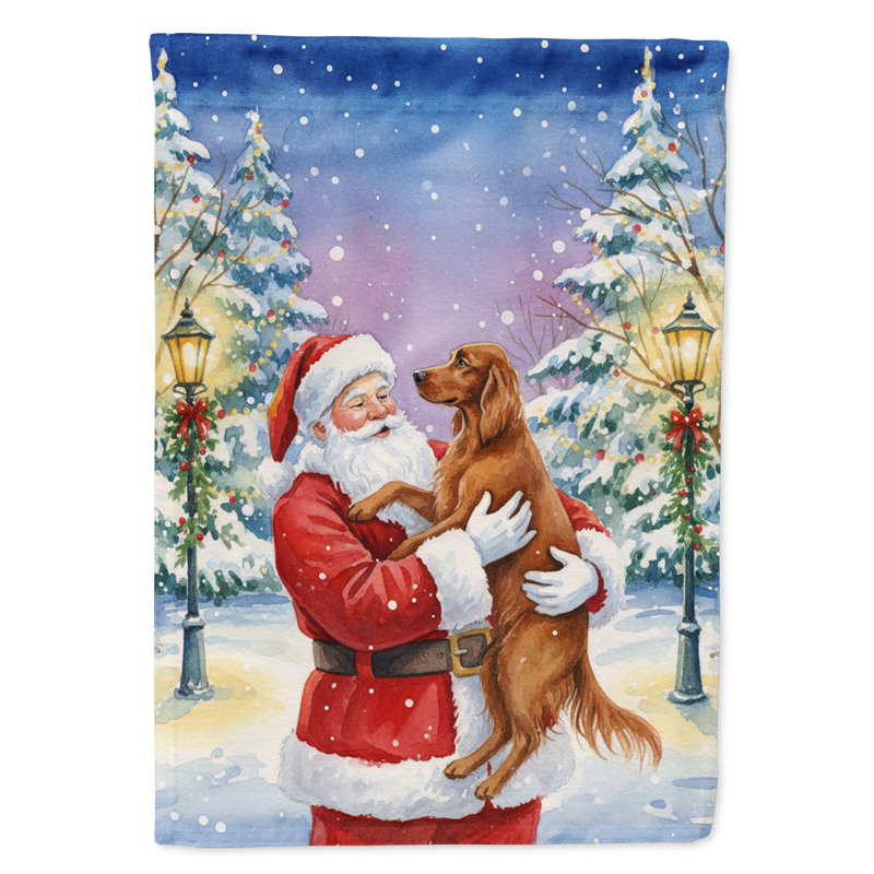 Setter irlandais avec drapeau du père Noël, Taille du jardin, Setter irlandais