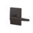 Eller Non-Turning Lever with Century Trim-27798242
