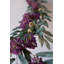 BOTANICA # 9022