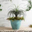 Ensemble de 2 pots à fleurs ronds 19,5 po-995547854-995547855