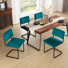 Ensemble de chaises en porte-à-faux en velours de style Mid-Century de 19,6 po Halt Whistle (ensemble de 4)
