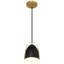 Luminaire suspendu 1 lumière Oakton