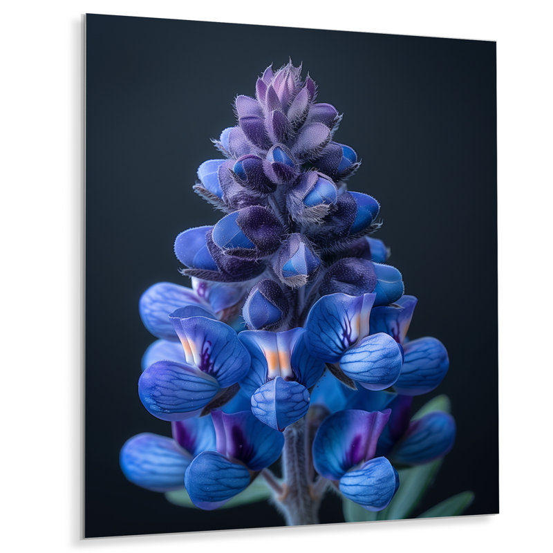 «Blue Bonnets Blue Dreams - Blue Bonnets», art mural, H 16 po x l 32 po x P 1 po, Métal métal