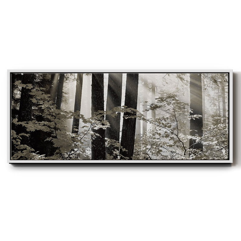Misty Forest- Framed Canvas, 24" H x 60" W