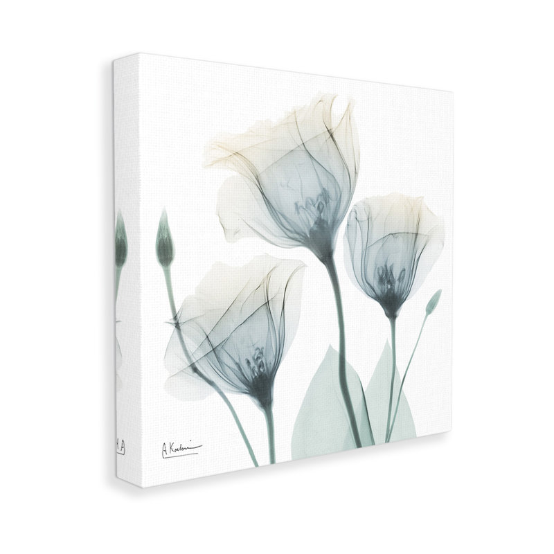 «Soft Soft Opaque Tulips» par Albert Koetsier, H 24 po x l 24 po