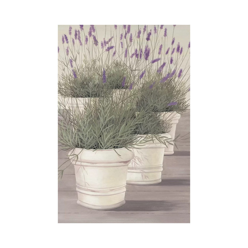 Lavender by Franz Heigl - Wrapped Canvas Print, 66.04 cm H x 45.72 cm W x 3.175 cm D