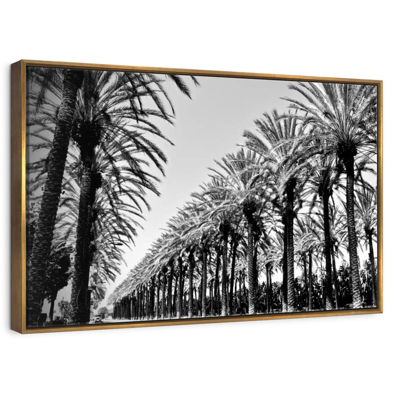 Palmiers en ordre, Cadre flottant doré, 43 po x 29 po