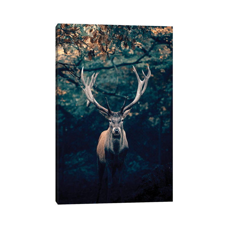 Deer by Nikita Abakumov - Wrapped Canvas Print