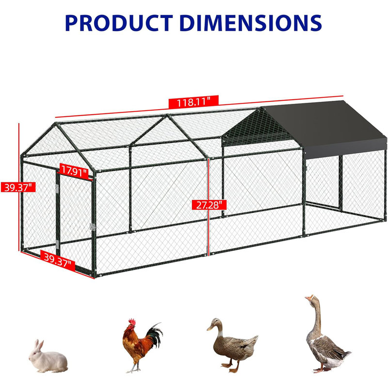 Walk In Chicken Run