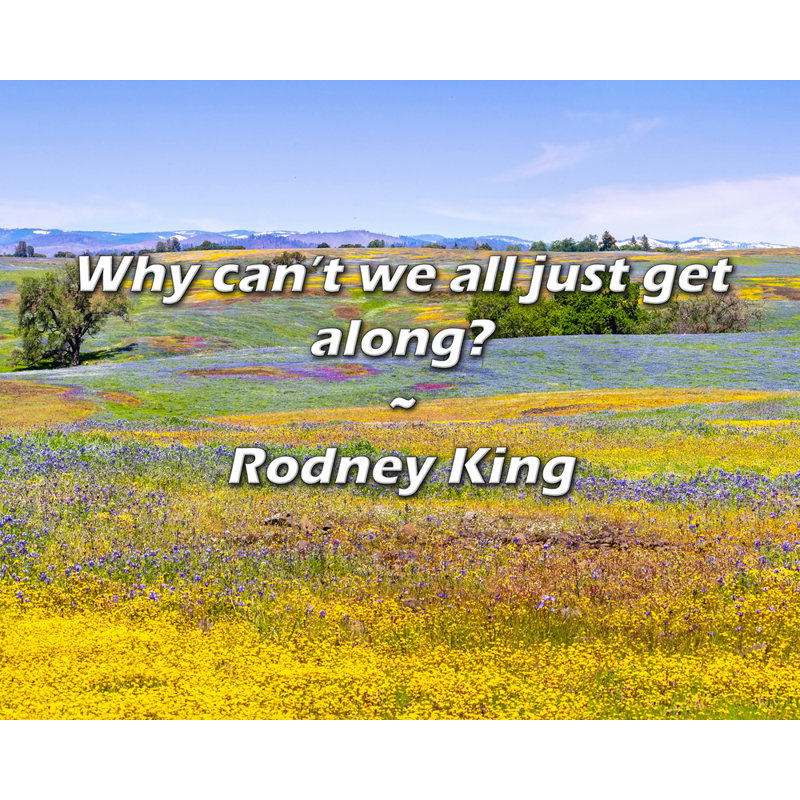 Rodney King Citation: Pourquoi ne pouvons-nous pas nous entendre?