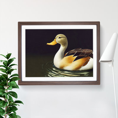 Beguiling Duck - Single Picture Frame Print