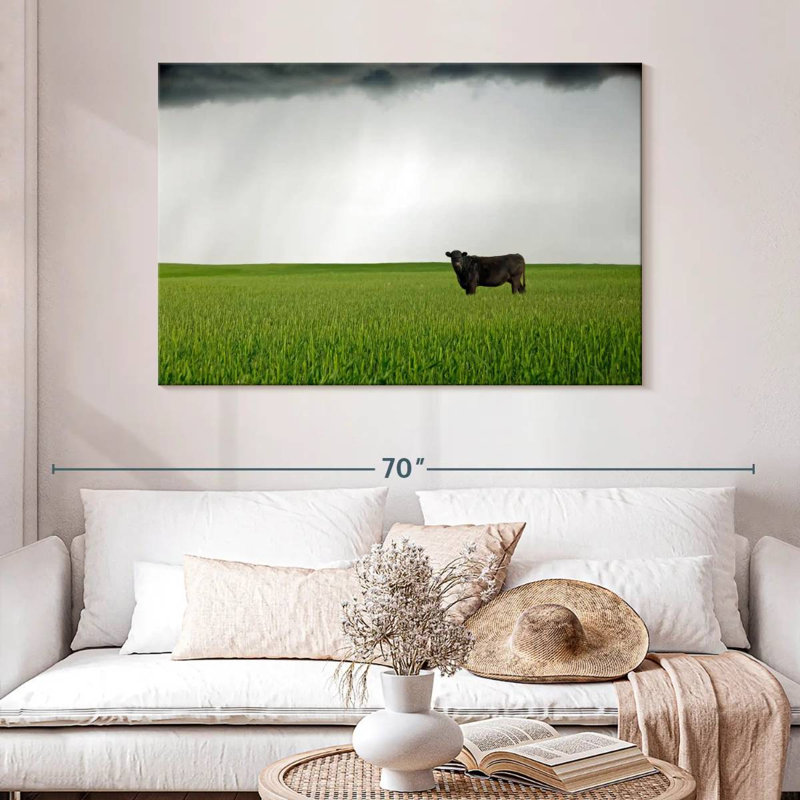 Brampt Angus Cow, 32" H x 48" W