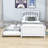 Comyns Twin Platform Bed with Trundle-1593271445