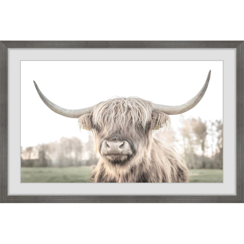 Cattle Portrait - Print, Grey Framed Paper, 20cm H x 20cm W x 3.81cm D