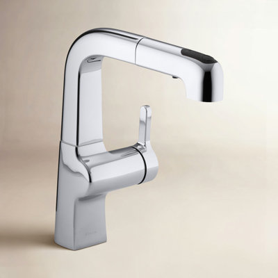Evoke Pull-Out Kitchen Faucet
