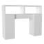 Caydae Wall Bathroom Cabinet