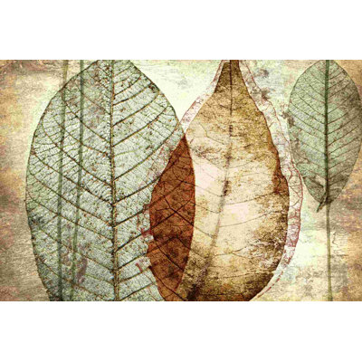 " Transparent Leaves "