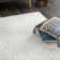 Gwenyth Solid Shag Area Rug