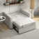 Bedri 49.6" Wide Tufted Back Sofa Bed With Cushions And Two Pillows