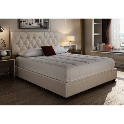 Beige Upholstered Queen Bed With Ample Storage And 2 Drawers Accents