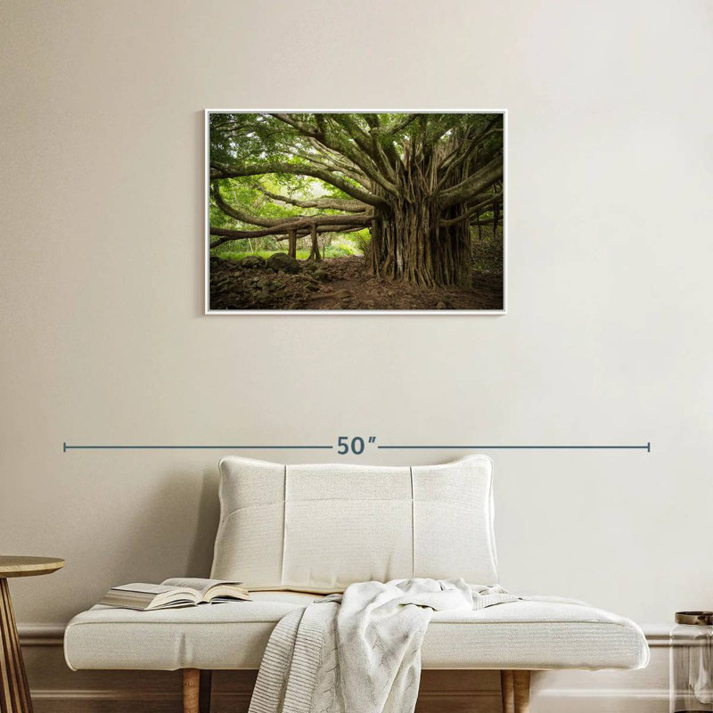 Banyan Tree, 31 po x 21 po, Cadre flottant blanc