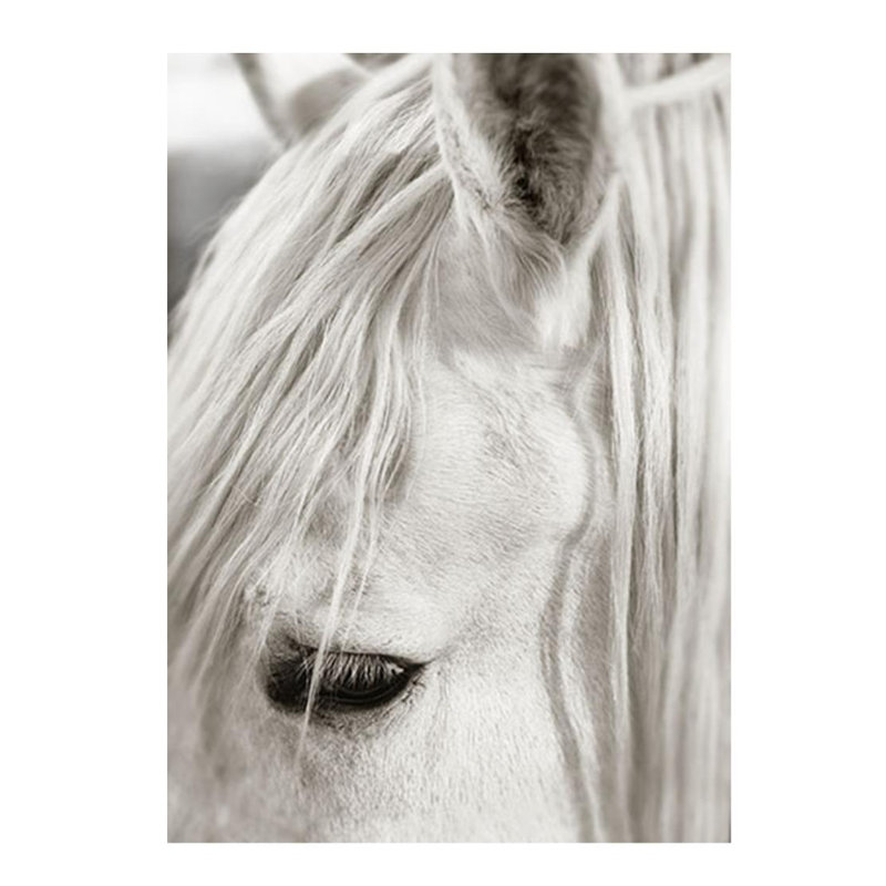 Mari Urasawa " Focusing On White Horse II " by Mari Urasawa, Glass Coat, 50" H x 36" W