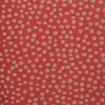 John Robshaw Fabric