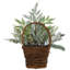 28 plantes