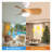 23 Inch Mini LED Ceiling Fan with Remote Control - Quiet DC Motor, 3 ABS Blades, 3-Color LED Light - Ideal for Bedroom, Small Rooms