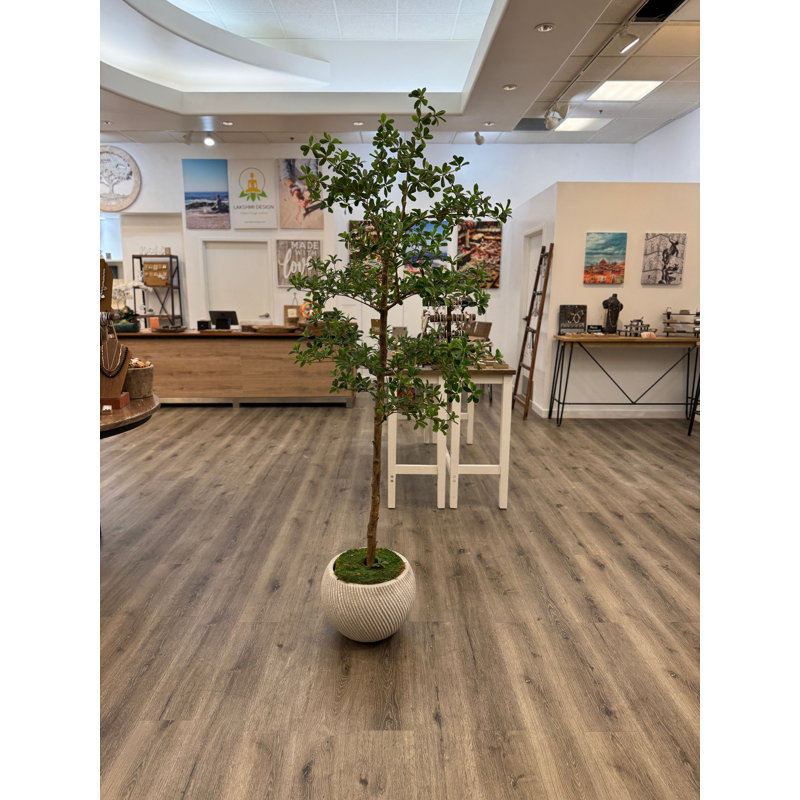 Faux Foliage Tree, 68 (in) x 15 (in)
