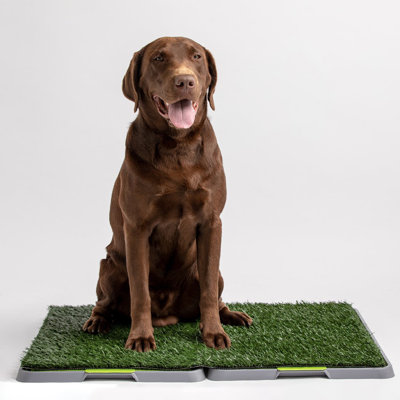 Wicker Pet Bed