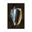 «Ocean Treasure I», impression sur toile-73202252-73202250-73202251