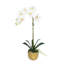 Silk Orchid Plant In White Vase-1870534634-1870534633
