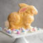 Nordic Ware Seasonal Easter Bunny 3D Cake Mold