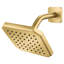 Belshire Showerhead, Pn-60946092